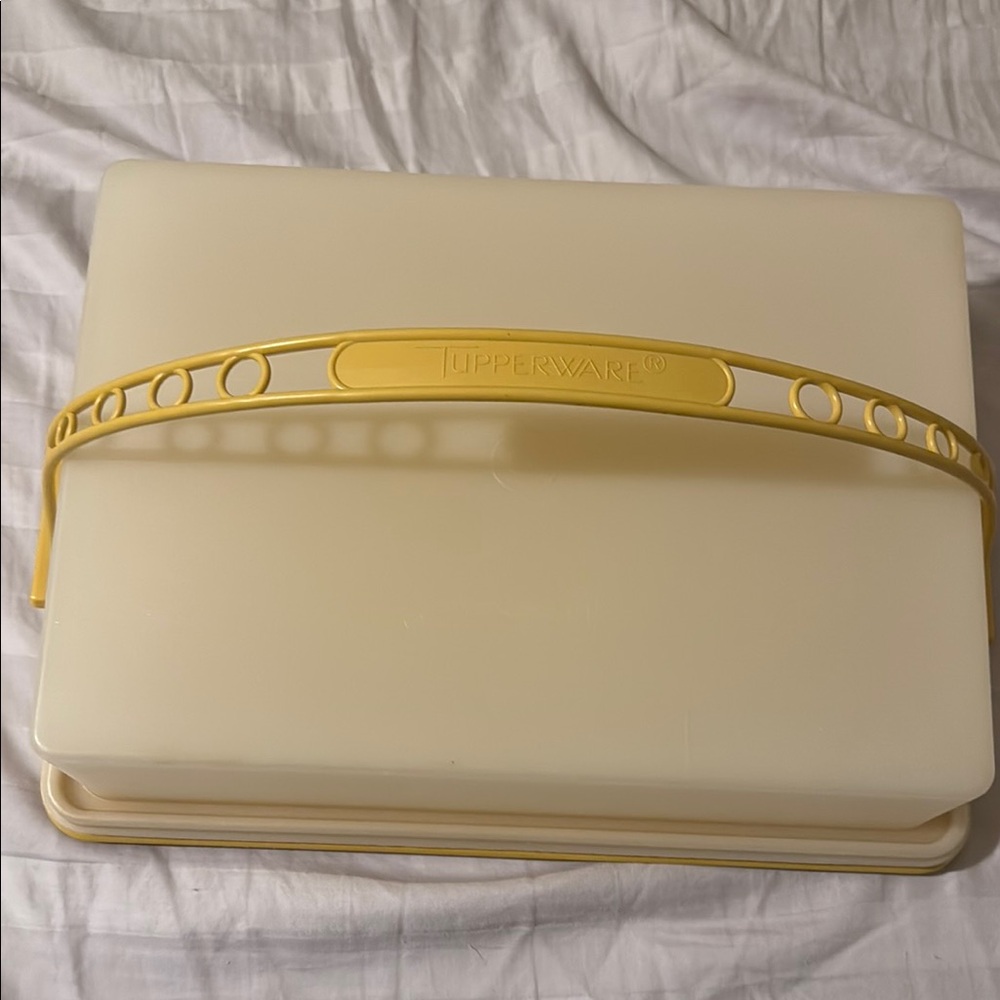 Rectangular Tupperware cake carrier 13x9